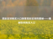 竞彩足球购买入口探索竞彩足球的奥秘——揭秘如何购买入口