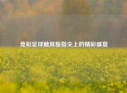 竞彩足球触屏版指尖上的精彩盛宴