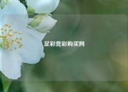 足彩竞彩购买网