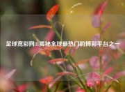 足球竞彩网31揭秘全球最热门的博彩平台之一