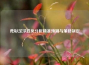 竞彩足球胜负分析精准预测与策略制定