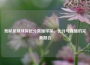 竞彩足球球探比分直播球探、比分与直播的完美融合