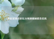体彩足球竞彩比分预测揭秘胜负玄机