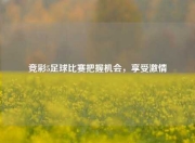 竞彩5足球比赛把握机会，享受激情
