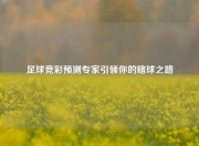 足球竞彩预测专家引领你的赌球之路