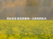 竞彩足球 胜负把握每一次胜利的机会