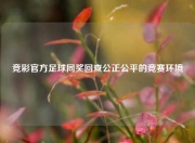 竞彩官方足球同奖回查公正公平的竞赛环境