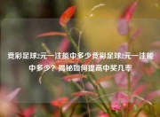 竞彩足球2元一注能中多少竞彩足球2元一注能中多少？揭秘如何提高中奖几率