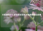 大家用的什么足球竞彩您所不知道的幕后故事