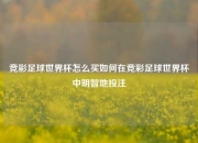 竞彩足球世界杯怎么买如何在竞彩足球世界杯中明智地投注