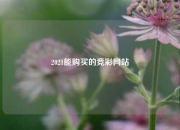 2021能购买的竞彩网站