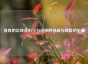 可靠的足球竞彩平台选择的保障与风险的平衡