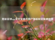 竞彩足球app支付宝提升用户体验和交易便利性