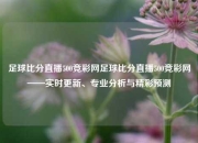 足球比分直播500竞彩网足球比分直播500竞彩网——实时更新、专业分析与精彩预测