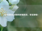 今天竞彩足球推荐把握胜负，享受激情！