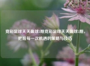 竞彩足球天天盈球5期竞彩足球天天盈球5期，把握每一次机遇的策略与技巧