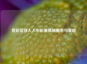 竞彩足球人人中彩票揭秘概率与策略