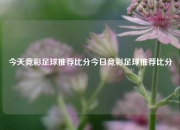 今天竞彩足球推荐比分今日竞彩足球推荐比分