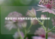 竞彩篮球比分规则竞彩篮球比分规则解析