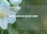 足球竞彩购买比例分析与策略