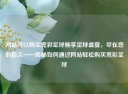 网站可以购买竞彩足球畅享足球盛宴，尽在您的指尖——揭秘如何通过网站轻松购买竞彩足球