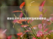竞彩比分平台您的实时足球游戏伴侣