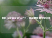 竞彩258比分竞彩258比分，揭秘胜负的关键因素