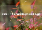 竞彩网比分直播篮球实时数据与精彩赛事解析