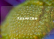竞彩足球购买计算