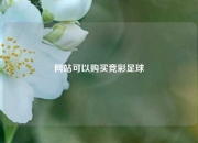 网站可以购买竞彩足球