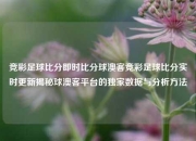 竞彩足球比分即时比分球澳客竞彩足球比分实时更新揭秘球澳客平台的独家数据与分析方法