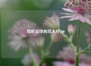 竞彩足球购买大厅500