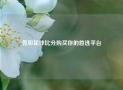 竞彩足球比分购买你的首选平台