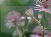 lol竞彩购买