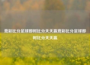 竞彩比分足球即时比分天天赢竞彩比分足球即时比分天天赢