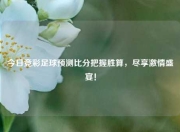 今日竞彩足球预测比分把握胜算，尽享激情盛宴！