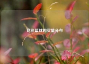 竞彩篮球购买量分布