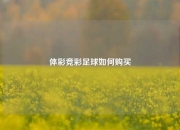 体彩竞彩足球如何购买