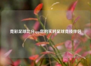 竞彩足球比分app您的实时足球竞技伴侣