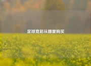 足球竞彩从哪里购买