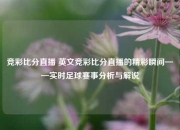 竞彩比分直播 英文竞彩比分直播的精彩瞬间——实时足球赛事分析与解说