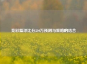 竞彩篮球比分500万预测与策略的结合