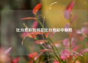 比分竞彩如何在比分竞彩中取胜