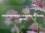 竞彩足球预测直播比分实时直播比分，助你稳操胜券！