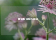 竞彩足球购买格式