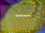 足球竞彩购买网