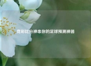竞彩比分神串你的足球预测神器