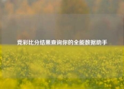 竞彩比分结果查询你的全能数据助手
