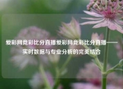 爱彩网竞彩比分直播爱彩网竞彩比分直播——实时数据与专业分析的完美结合
