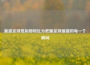 新浪足球竞彩即时比分把握足球盛宴的每一个瞬间